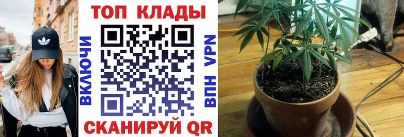 Наркотические вещества Кольчугино КОКАИН Alpha-PVP Гашиш МАРИХУАНА omg онион Мефедрон
