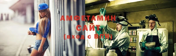 крисы Алексин
