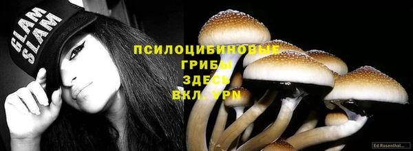 спайс Алексеевка
