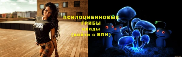 твердый Алзамай