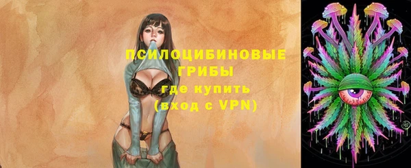 крисы Алексин